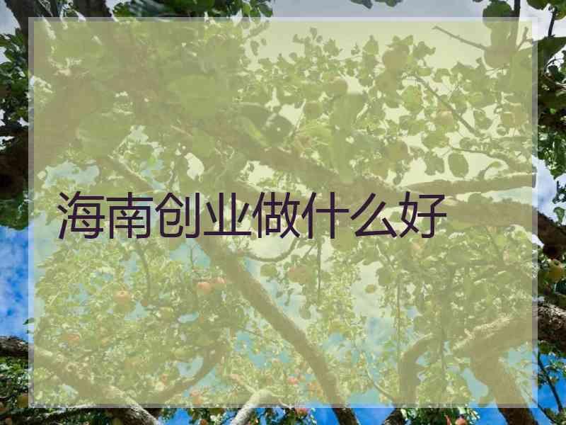 海南创业做什么好