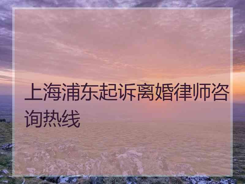 上海浦东起诉离婚律师咨询热线