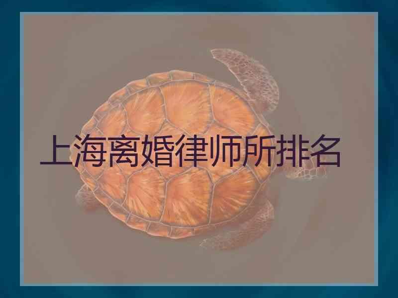 上海离婚律师所排名