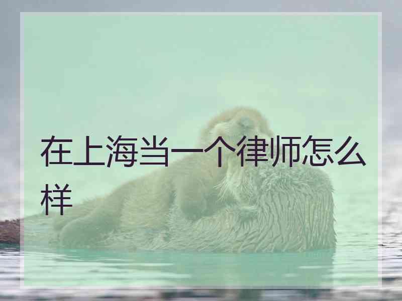 在上海当一个律师怎么样