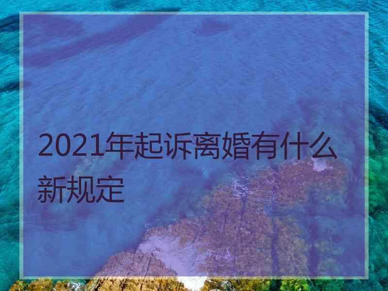 2021年起诉离婚有什么新规定