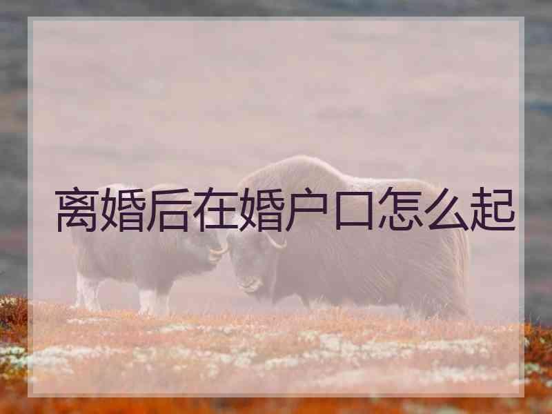 离婚后在婚户口怎么起