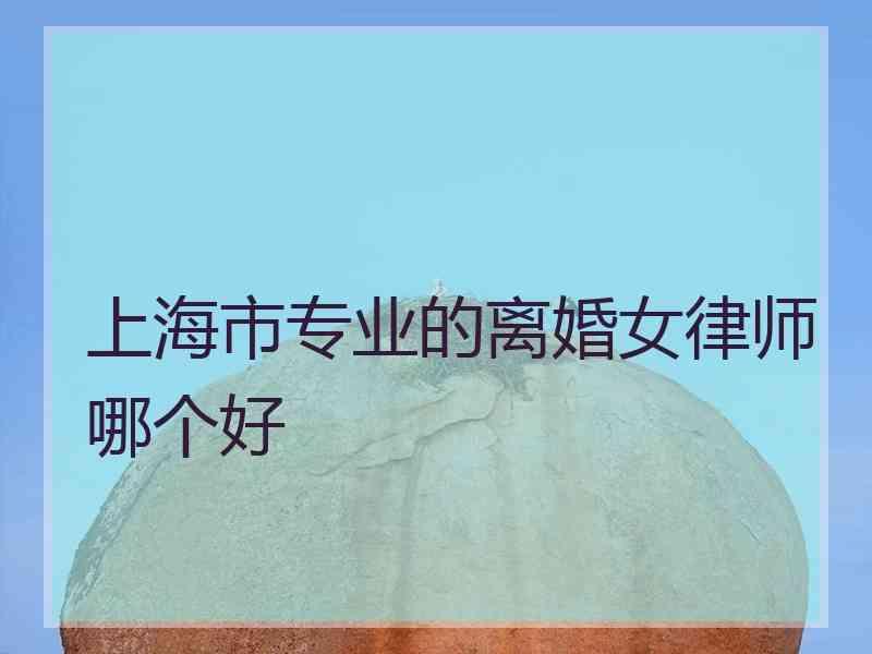 上海市专业的离婚女律师哪个好