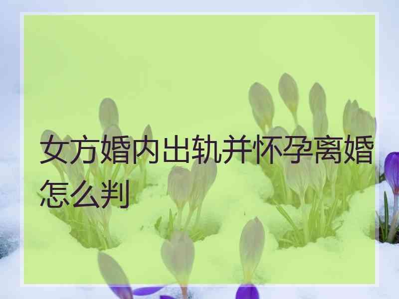 女方婚内出轨并怀孕离婚怎么判