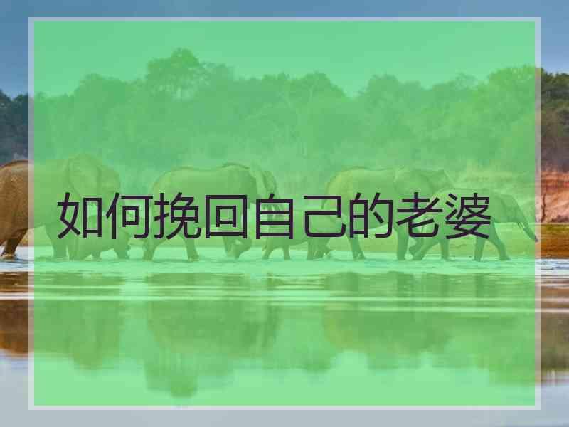 如何挽回自己的老婆