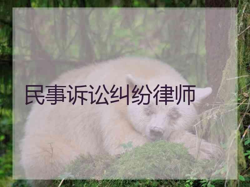 民事诉讼纠纷律师