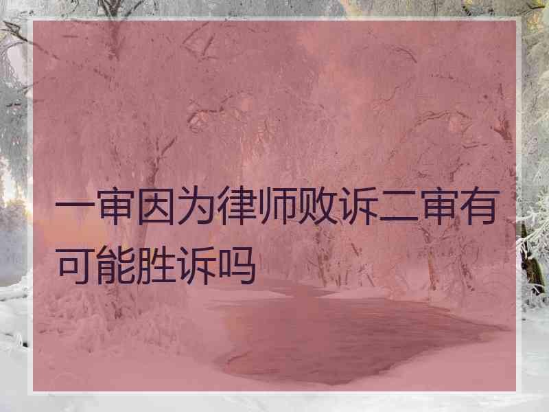 一审因为律师败诉二审有可能胜诉吗