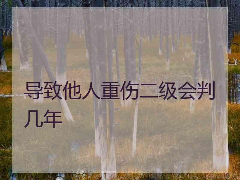 导致他人重伤二级会判几年