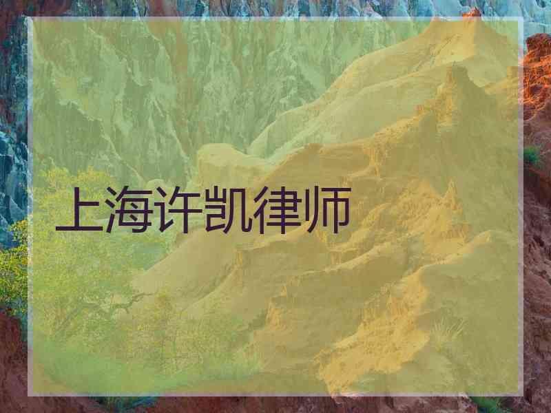 上海许凯律师