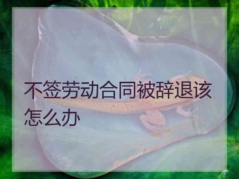 不签劳动合同被辞退该怎么办