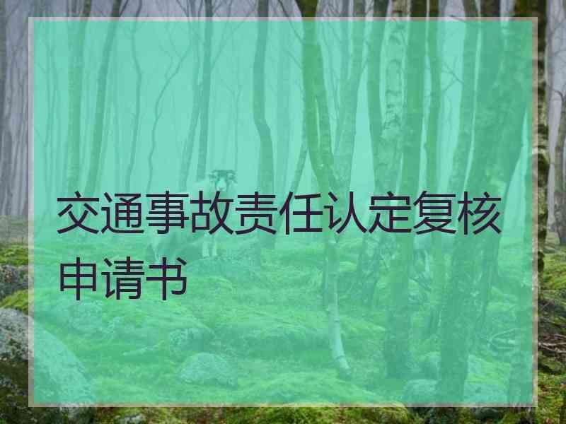 交通事故责任认定复核申请书