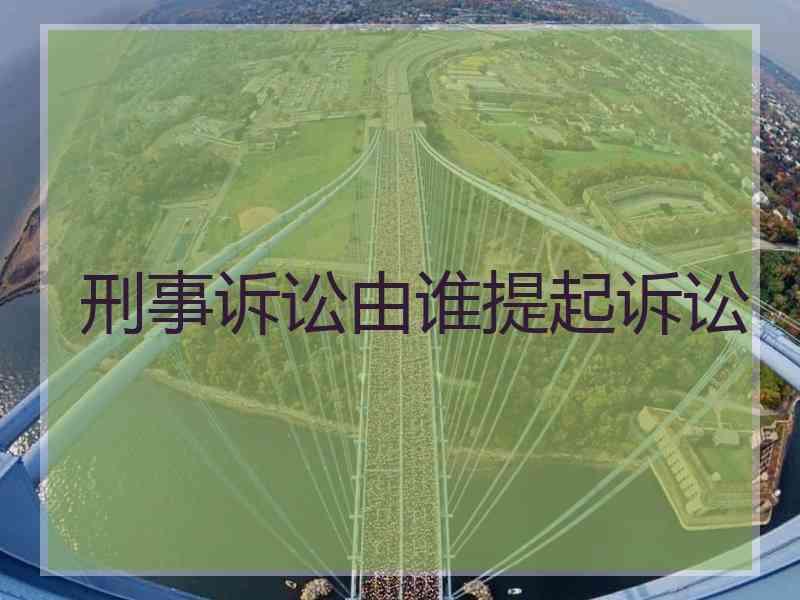 刑事诉讼由谁提起诉讼