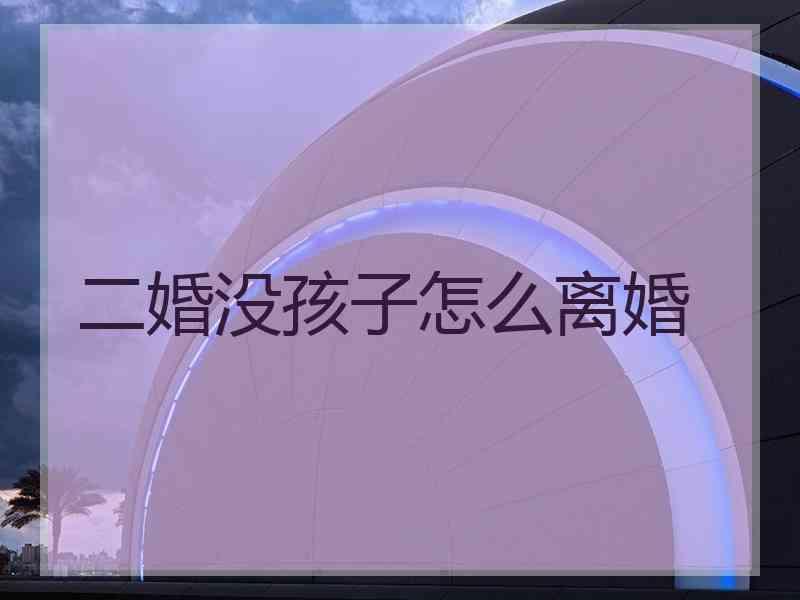 二婚没孩子怎么离婚
