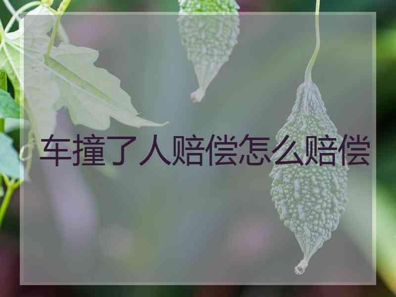 车撞了人赔偿怎么赔偿