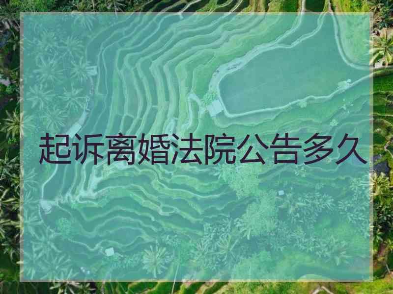 起诉离婚法院公告多久