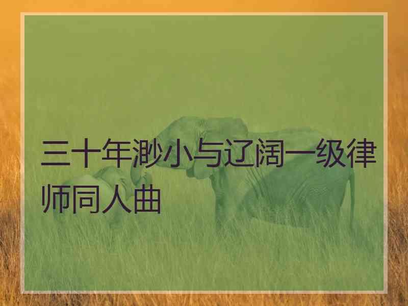 三十年渺小与辽阔一级律师同人曲