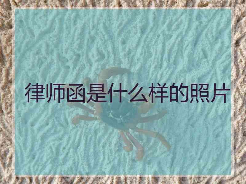 律师函是什么样的照片