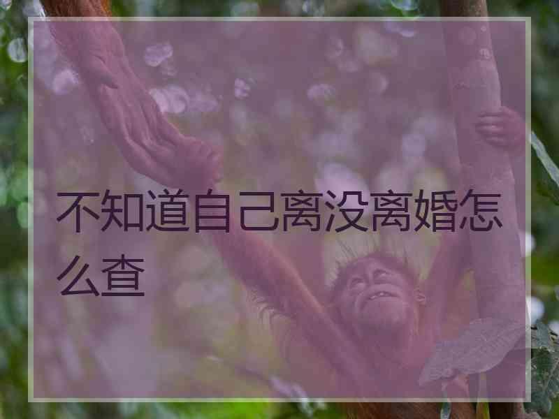 不知道自己离没离婚怎么查