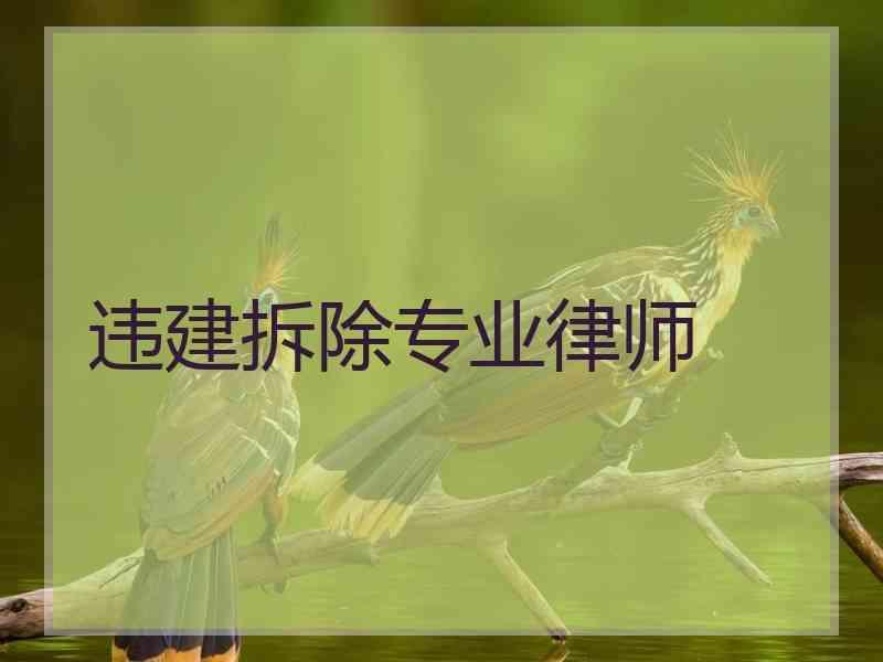 违建拆除专业律师