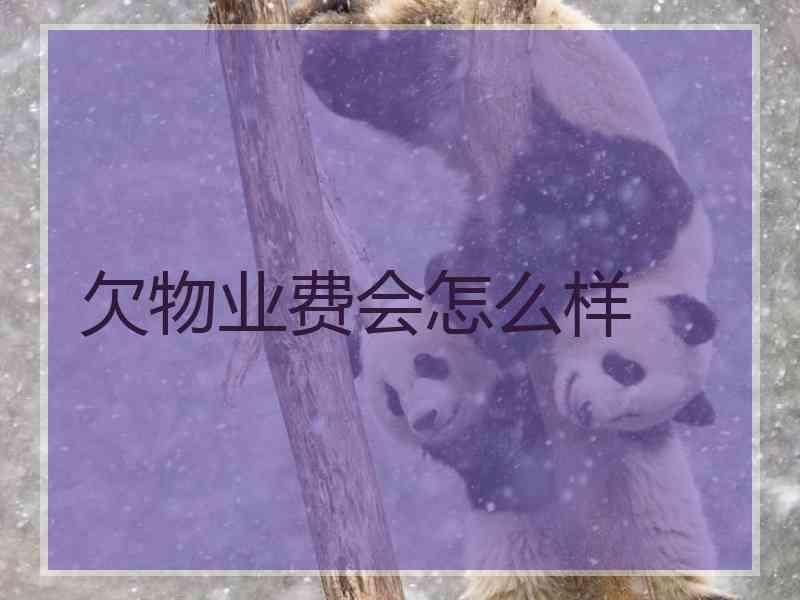 欠物业费会怎么样