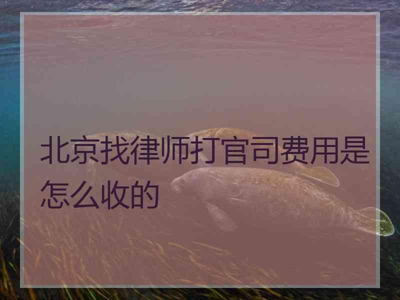 北京找律师打官司费用是怎么收的