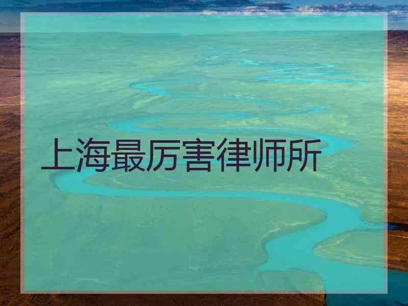 上海最厉害律师所