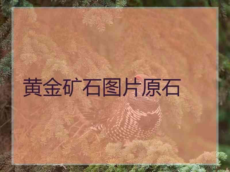 黄金矿石图片原石