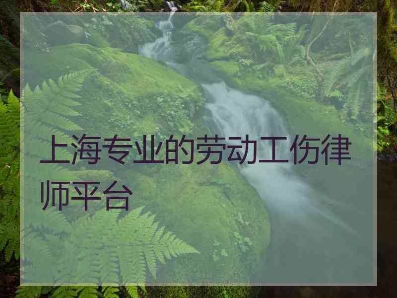 上海专业的劳动工伤律师平台