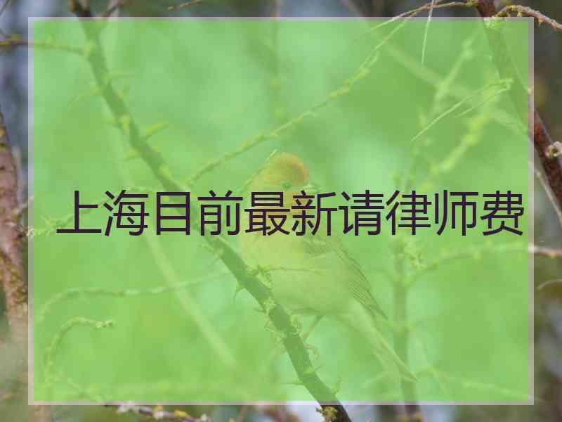 上海目前最新请律师费