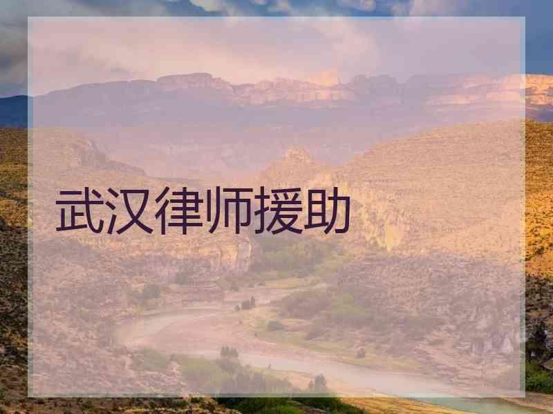 武汉律师援助