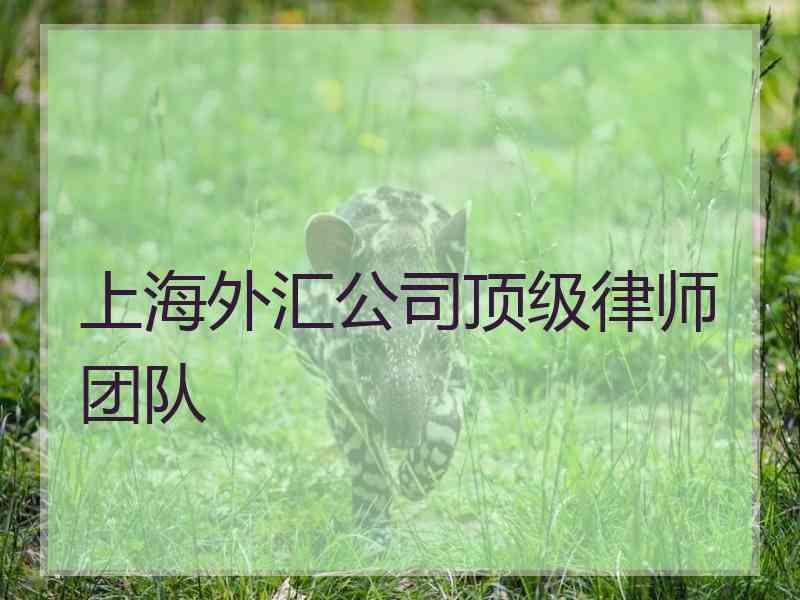 上海外汇公司顶级律师团队