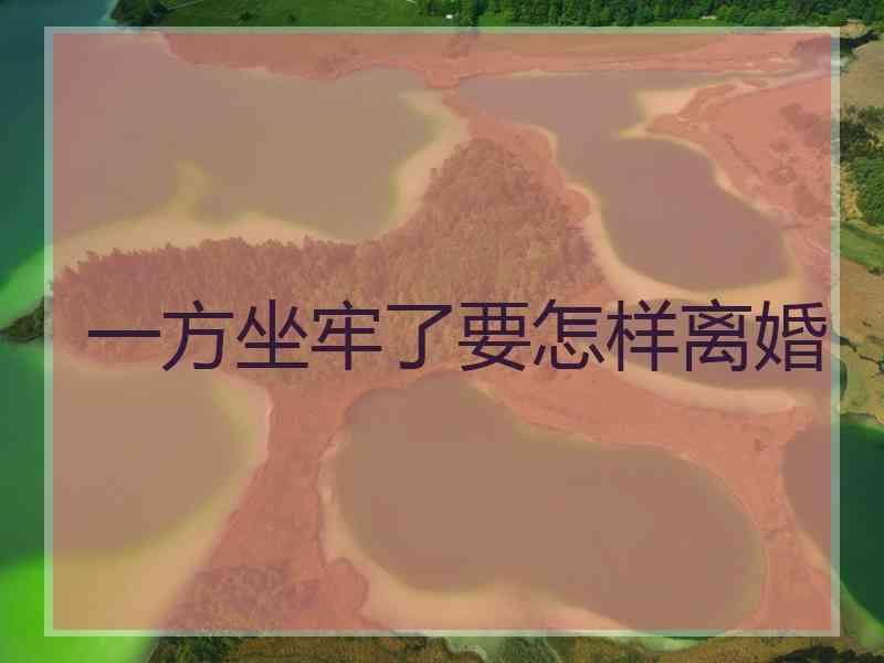 一方坐牢了要怎样离婚