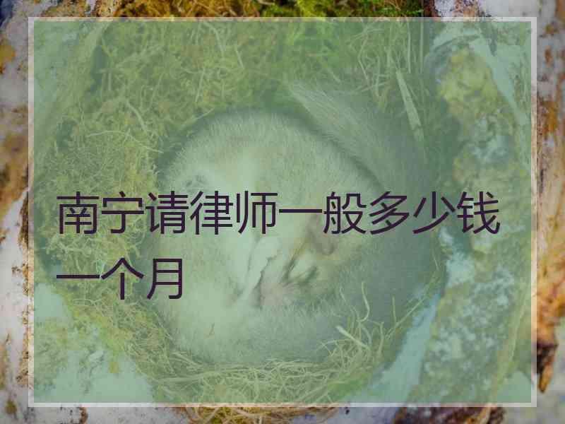 南宁请律师一般多少钱一个月