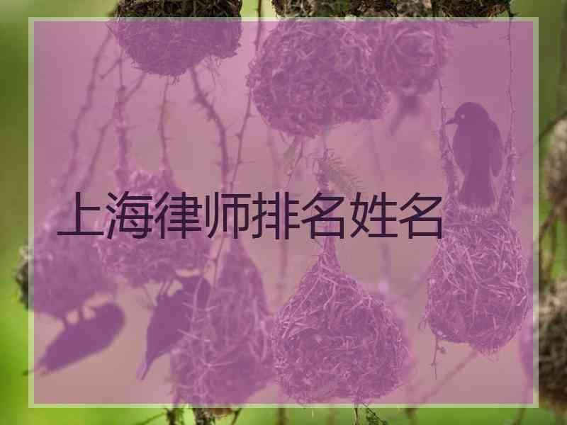 上海律师排名姓名