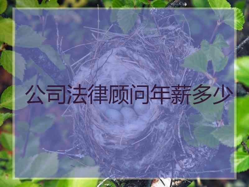 公律顾问年薪多少