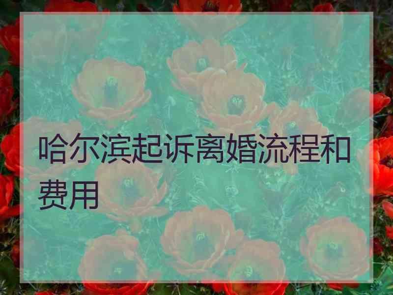 哈尔滨起诉离婚流程和费用