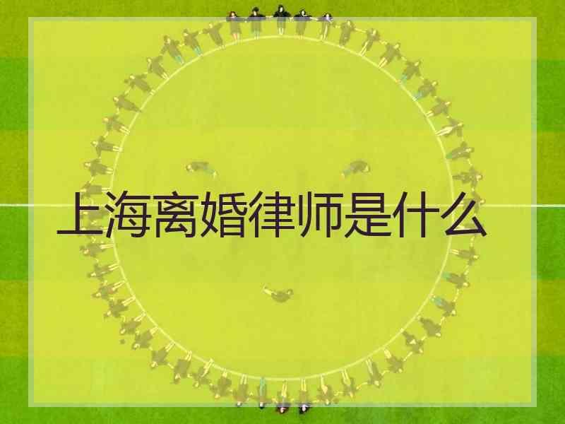 上海离婚律师是什么
