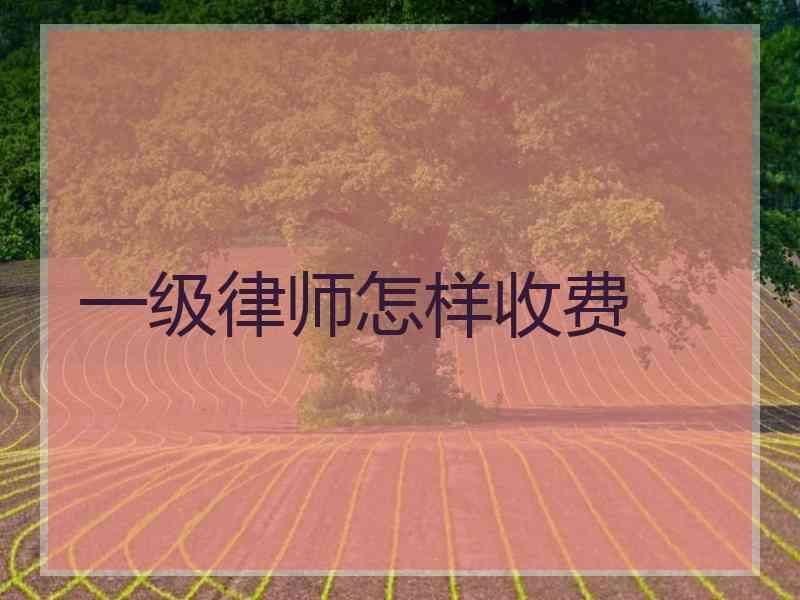 一级律师怎样收费