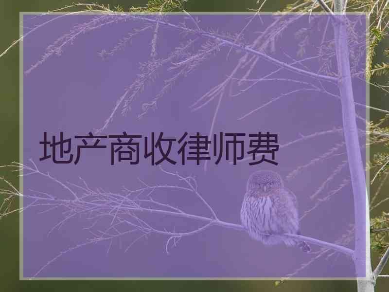 地产商收律师费