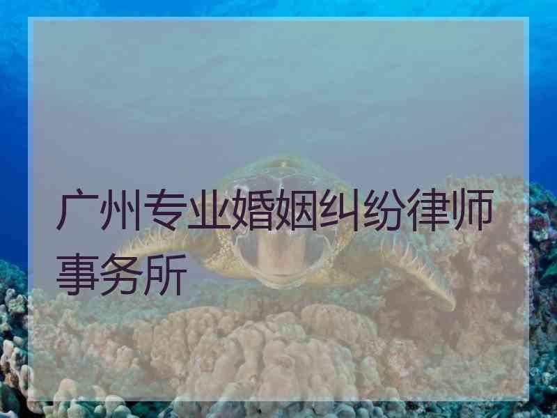 广州专业婚姻纠纷律师事务所