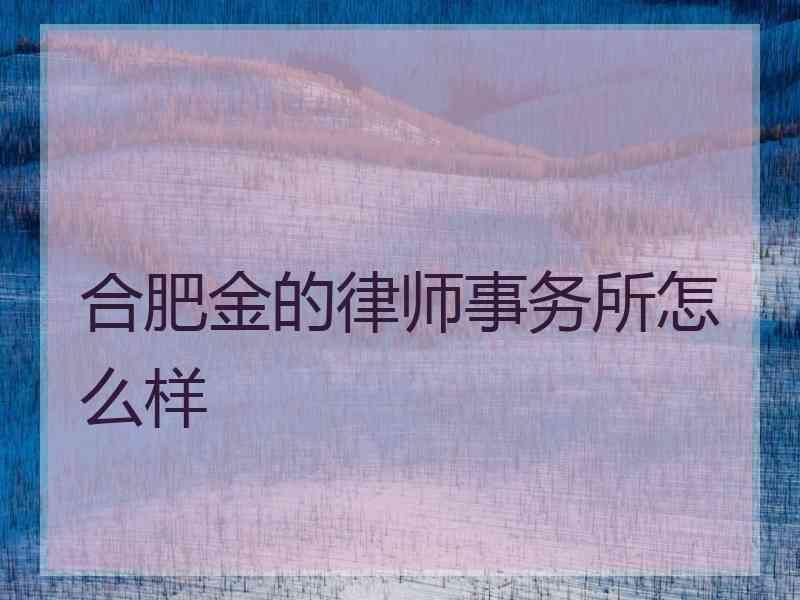 合肥金的律师事务所怎么样