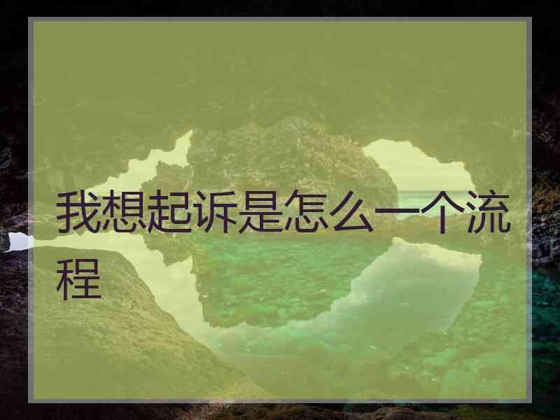 我想起诉是怎么一个流程