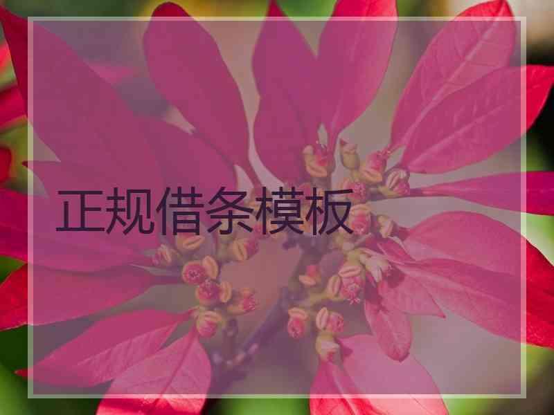 正规借条模板