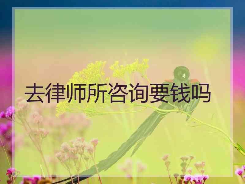 去律师所咨询要钱吗