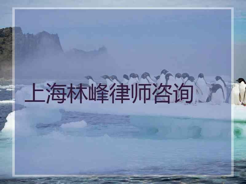 上海林峰律师咨询