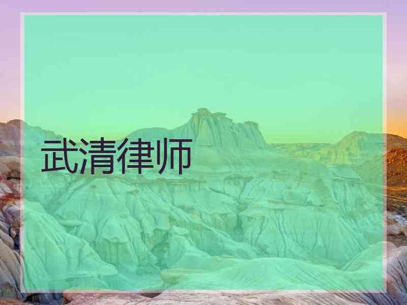 武清律师