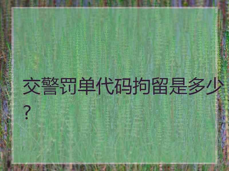 交警罚单代码拘留是多少?