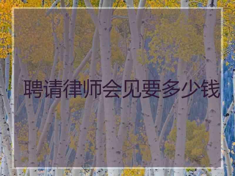 聘请律师会见要多少钱