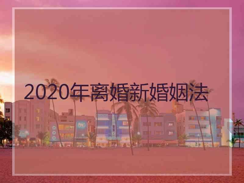 2020年离婚新婚姻法2021年离婚手续流程