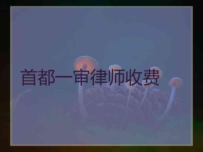 首都一审律师收费